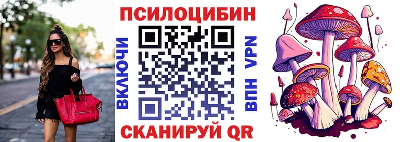 Купить закладки  Камбарка  Псилоцибиновые грибы Psilocybine cubensis 
